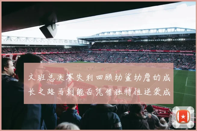 文班总决赛失利回顾幼鲨幼詹的成长之路马刺能否凭借独特性逆袭成功