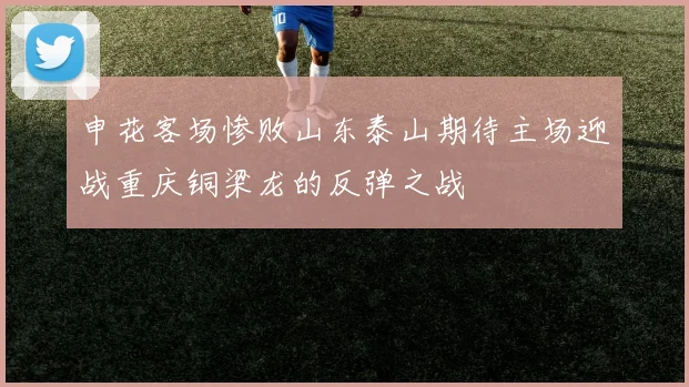 申花客场惨败山东泰山期待主场迎战重庆铜梁龙的反弹之战