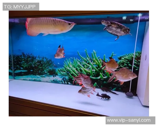 今日趣图:探讨鱼缸中的咸水鱼与淡水鱼共存的可能性与挑战 今日趣图:探讨鱼缸中的咸水鱼与淡水鱼共存的可能性与挑战